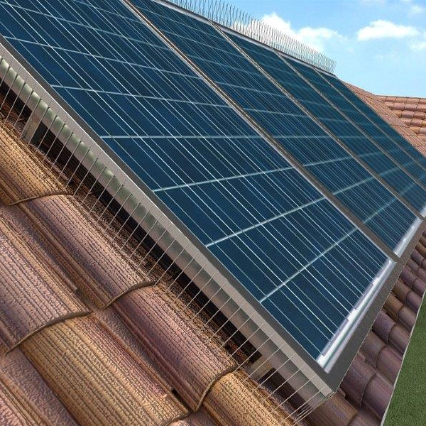 Vogelpinnen voor zonnepanelen