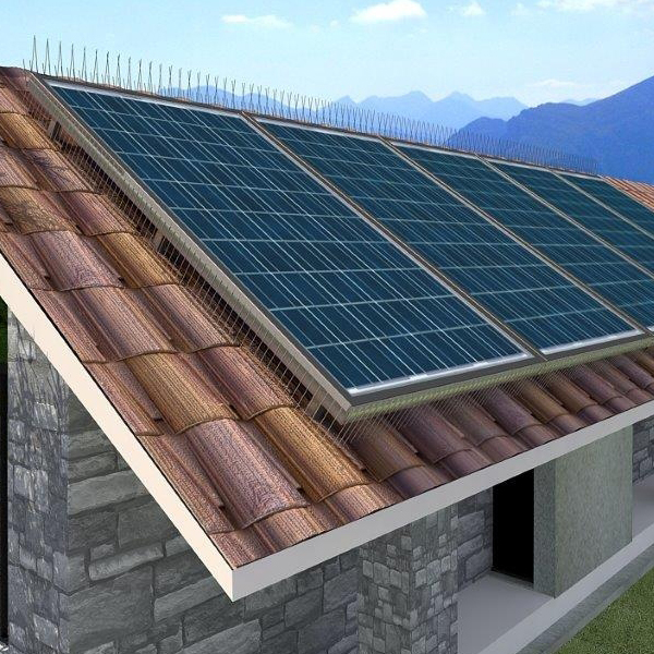 Vogelpinnen voor zonnepanelen