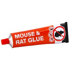 Ratten en muizenlijm