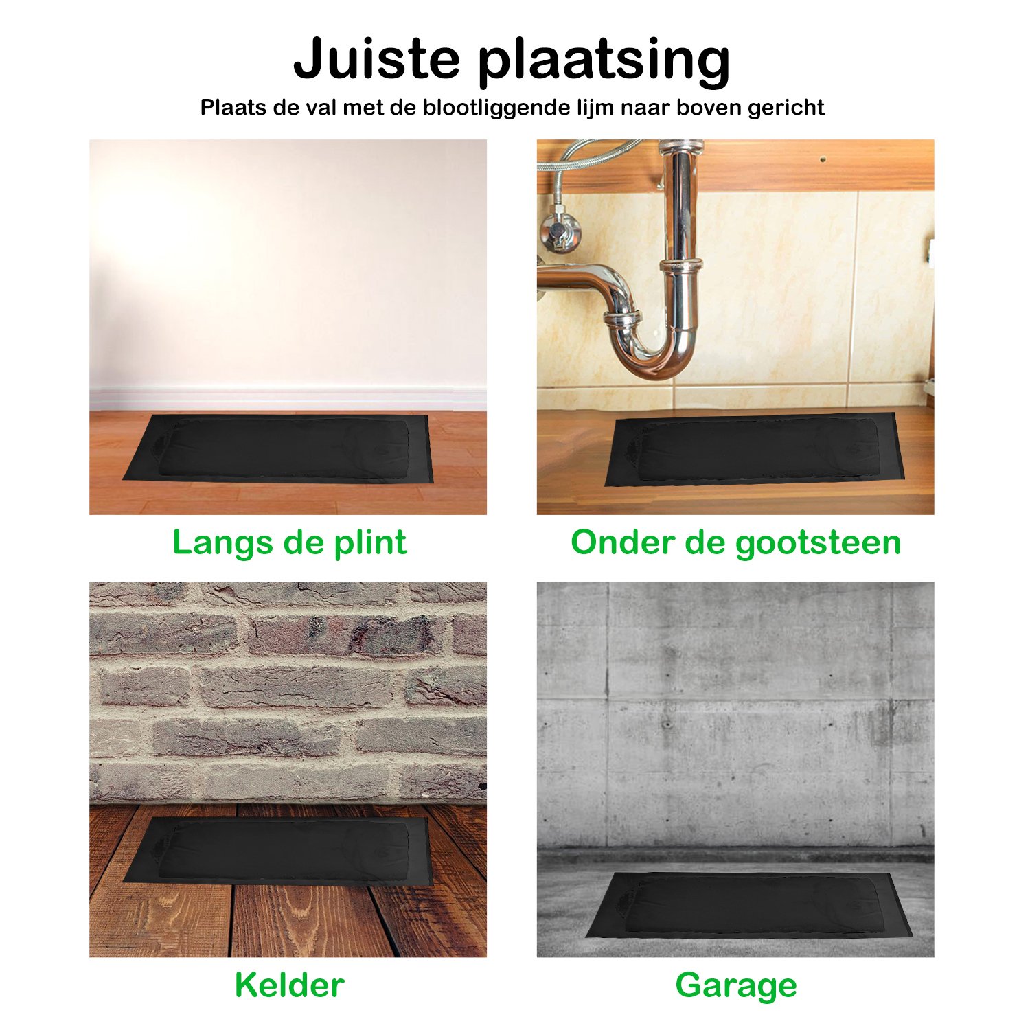 Muizen lijmplanken Trapper RTM Zwart (72 stuks) - Afbeelding 7