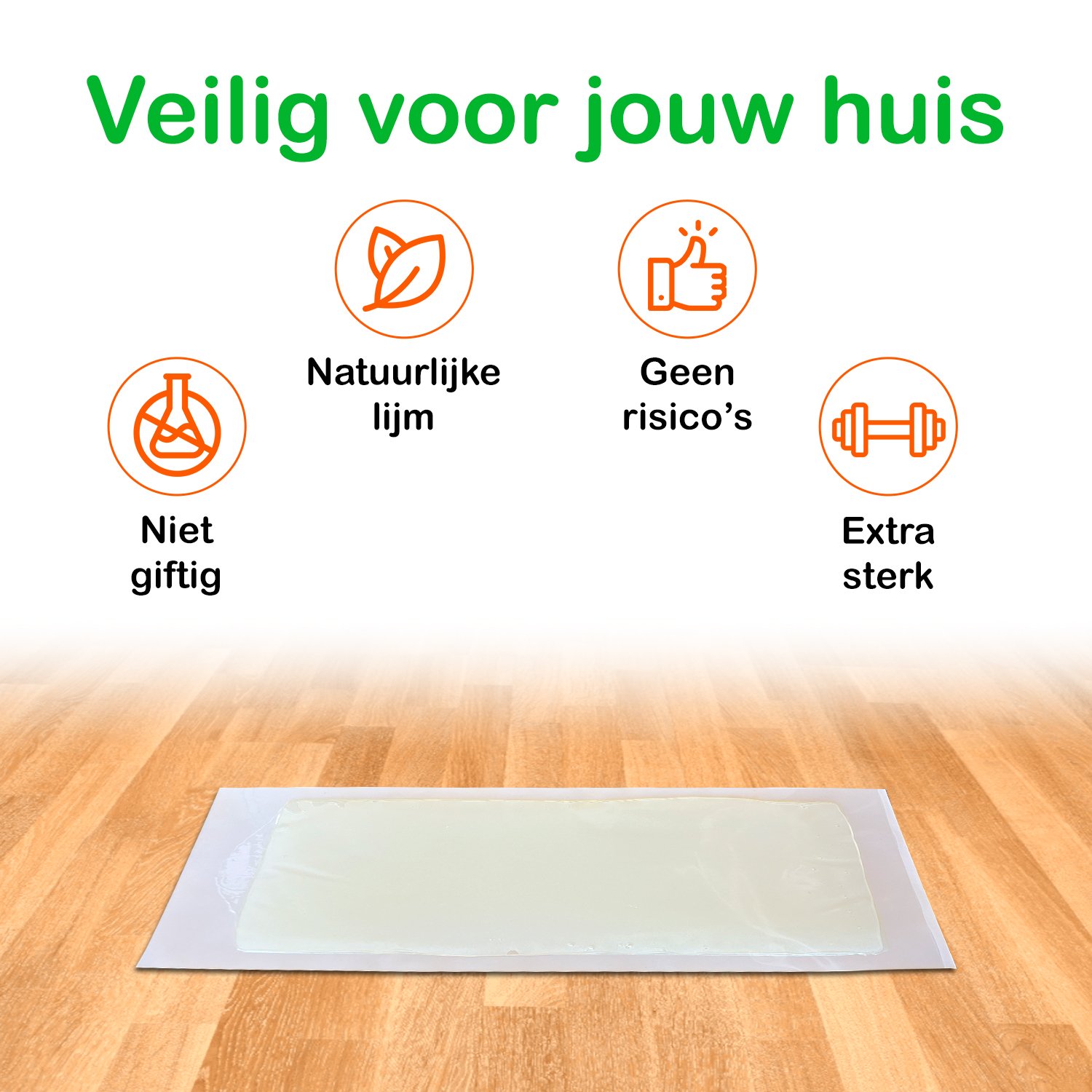 Muizen lijmplanken Trapper RTM chocolade (10 stuks) - Afbeelding 4