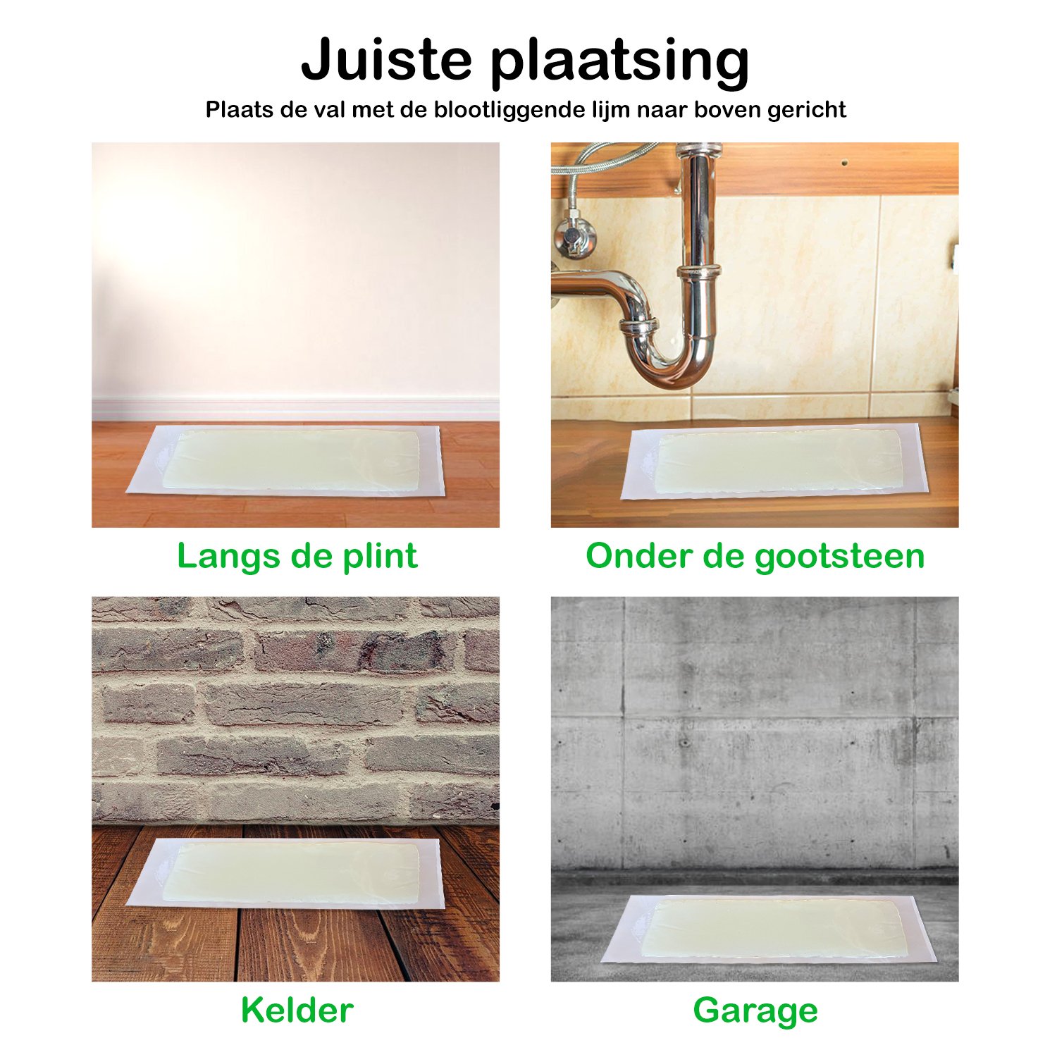 Muizen lijmplanken Trapper RTM (10 stuks) - Afbeelding 7