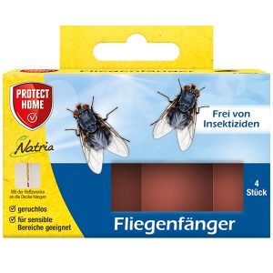 Fliegen Fänger
