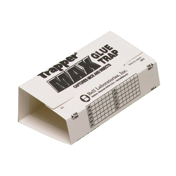 Trapper Max Mäuse Klebefalle