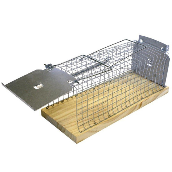Mäuse Lebendfalle, 1 Eingang
