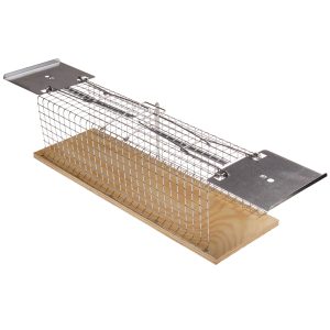 Mäuse Lebendfalle, Doppeleingang