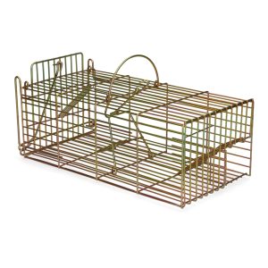 Lebendfalle für Ratten