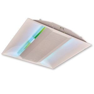 Insektenvernichter Für Die Decke