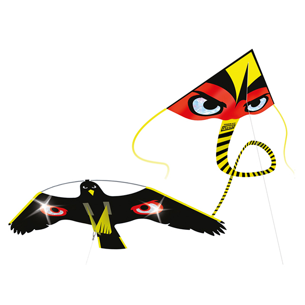 Drachen, Um Vögel Zu Verjagen