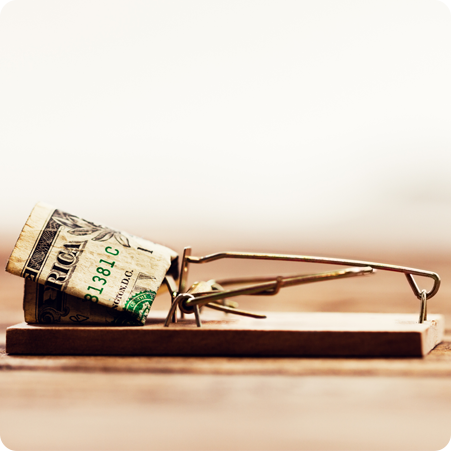 Sicher bezahlen bei Ungeziefershop