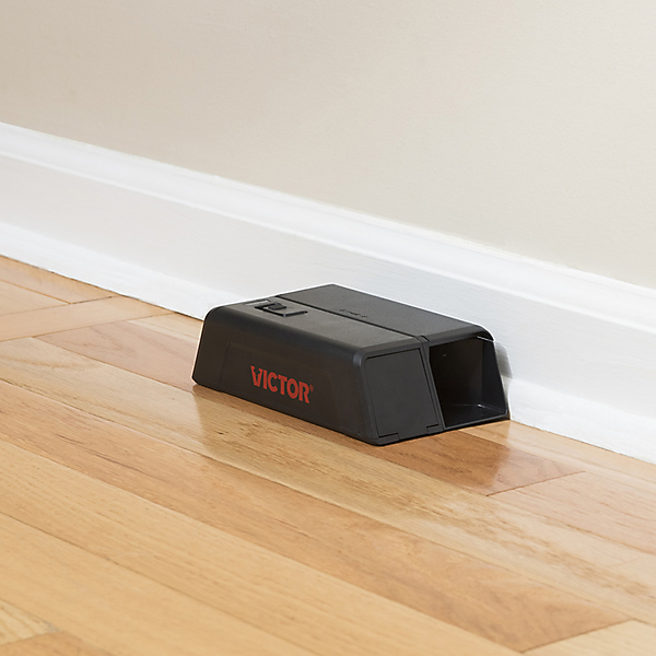 Elektronische Mausefalle – Bild 4