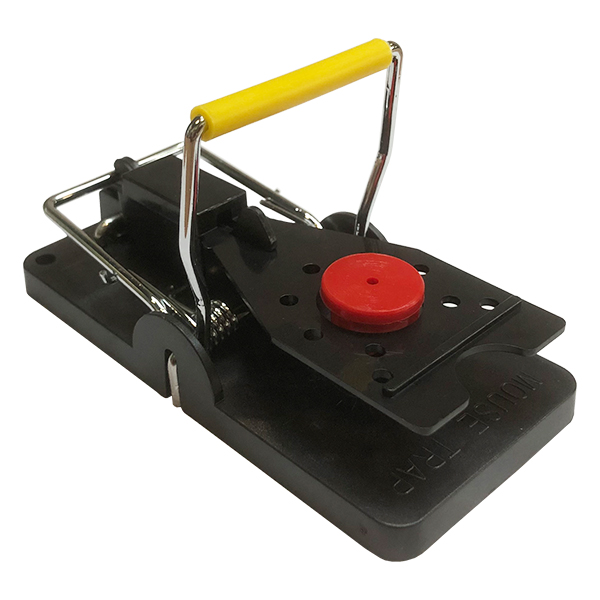 Ronada Ratten und Mäuse Locktablette Anis