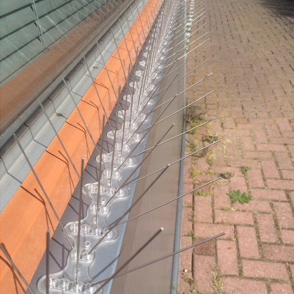 Vogelabwehr Spikes U4