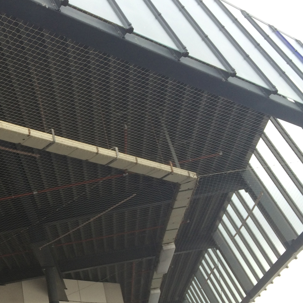 Trägerklemme für Vogelschutznetz