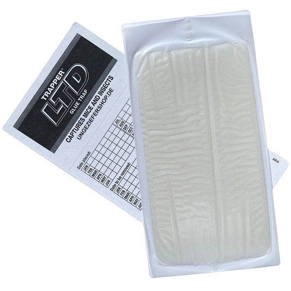 Trapper LTD Insektenklebefalle 10 Stück