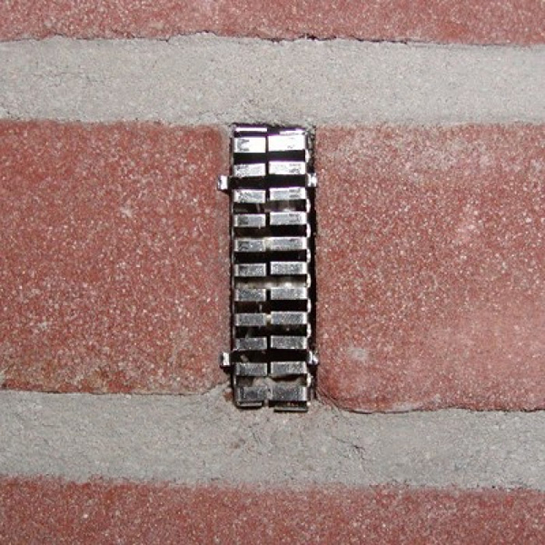 Bijenbekje in de muur