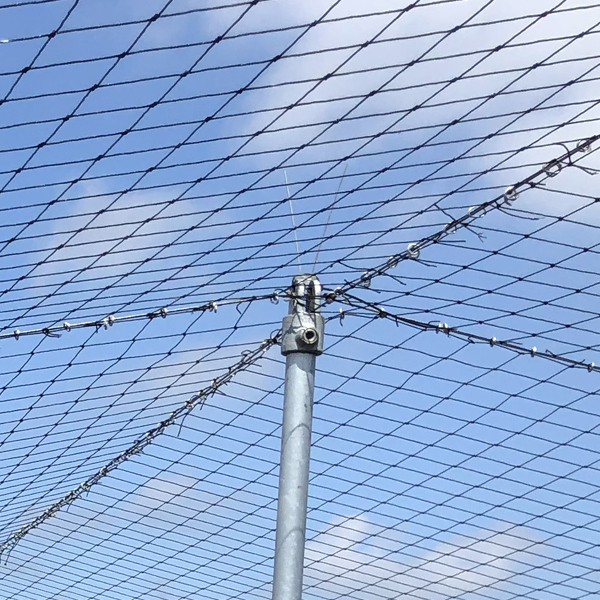 Draadgeleider voor buis