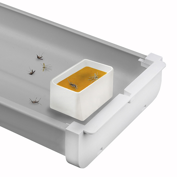 Witte vliegenlamp lokstof reservoir