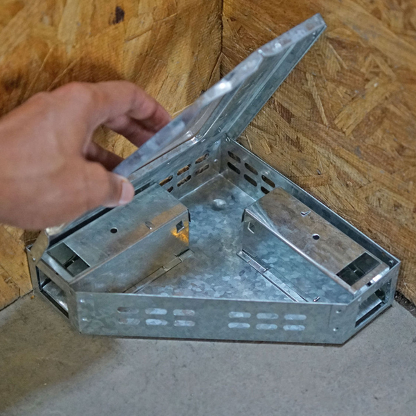 Muizenvangkooi Hoekmodel